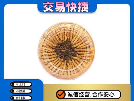 涉县高价回收虫草礼盒