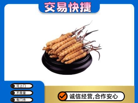 涉县礼品回收散虫草.jpg
